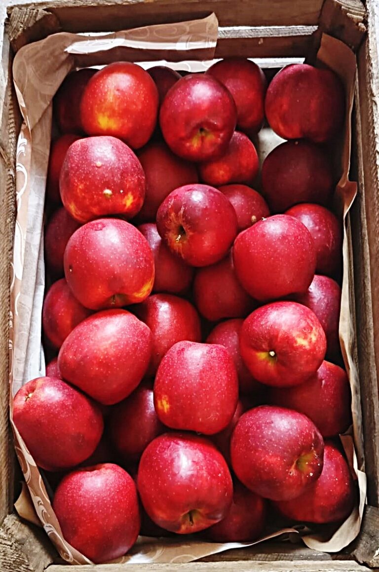 8c7413536c60ddfc55f6c58640cc4c08