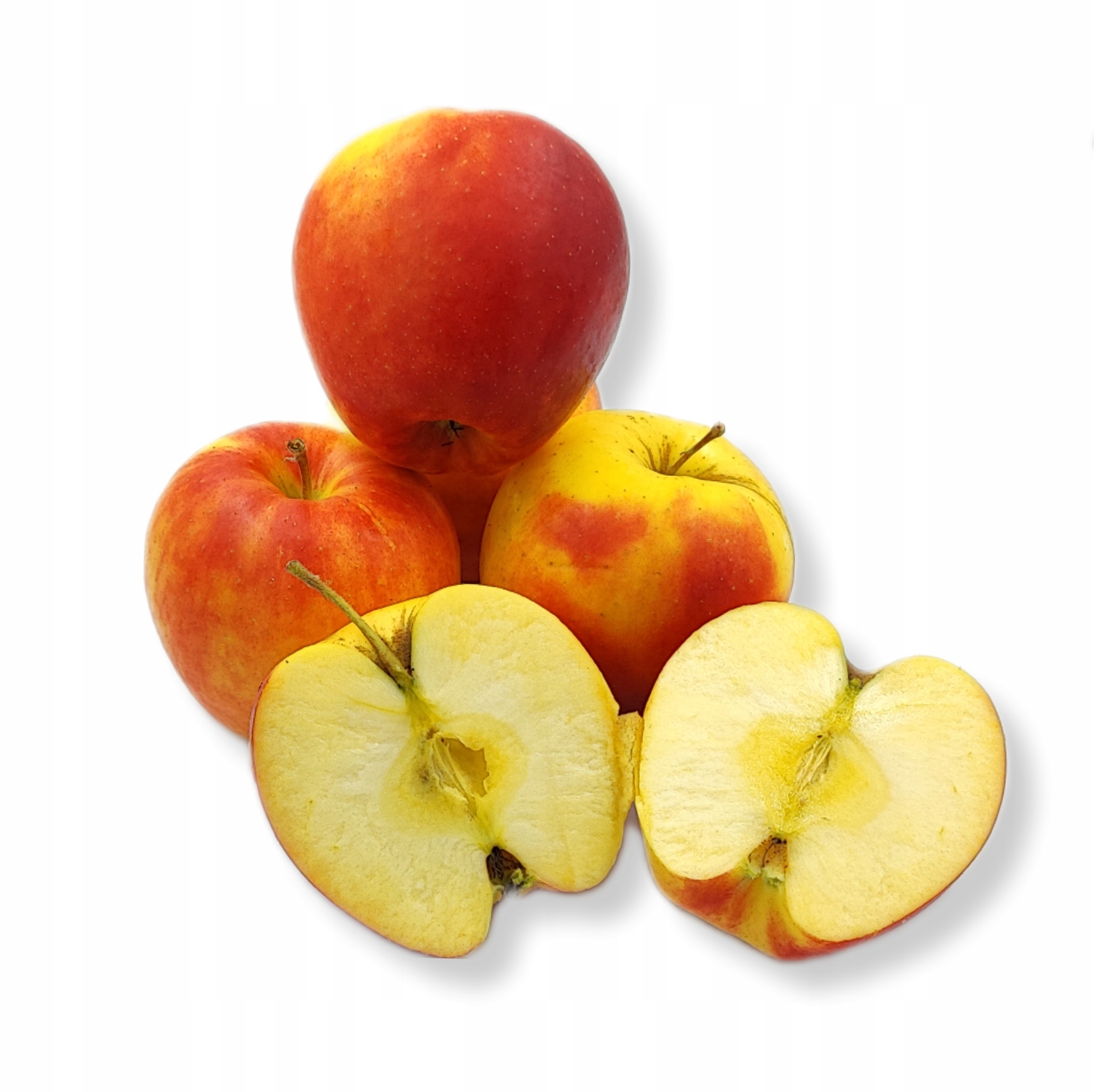 8a6f2c83e3bbd578fc04a4a4e009e0d2