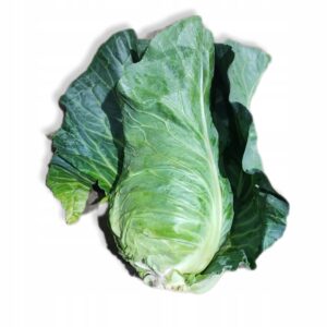 cbeca519fb2eb1214e1fb76eb2f216df