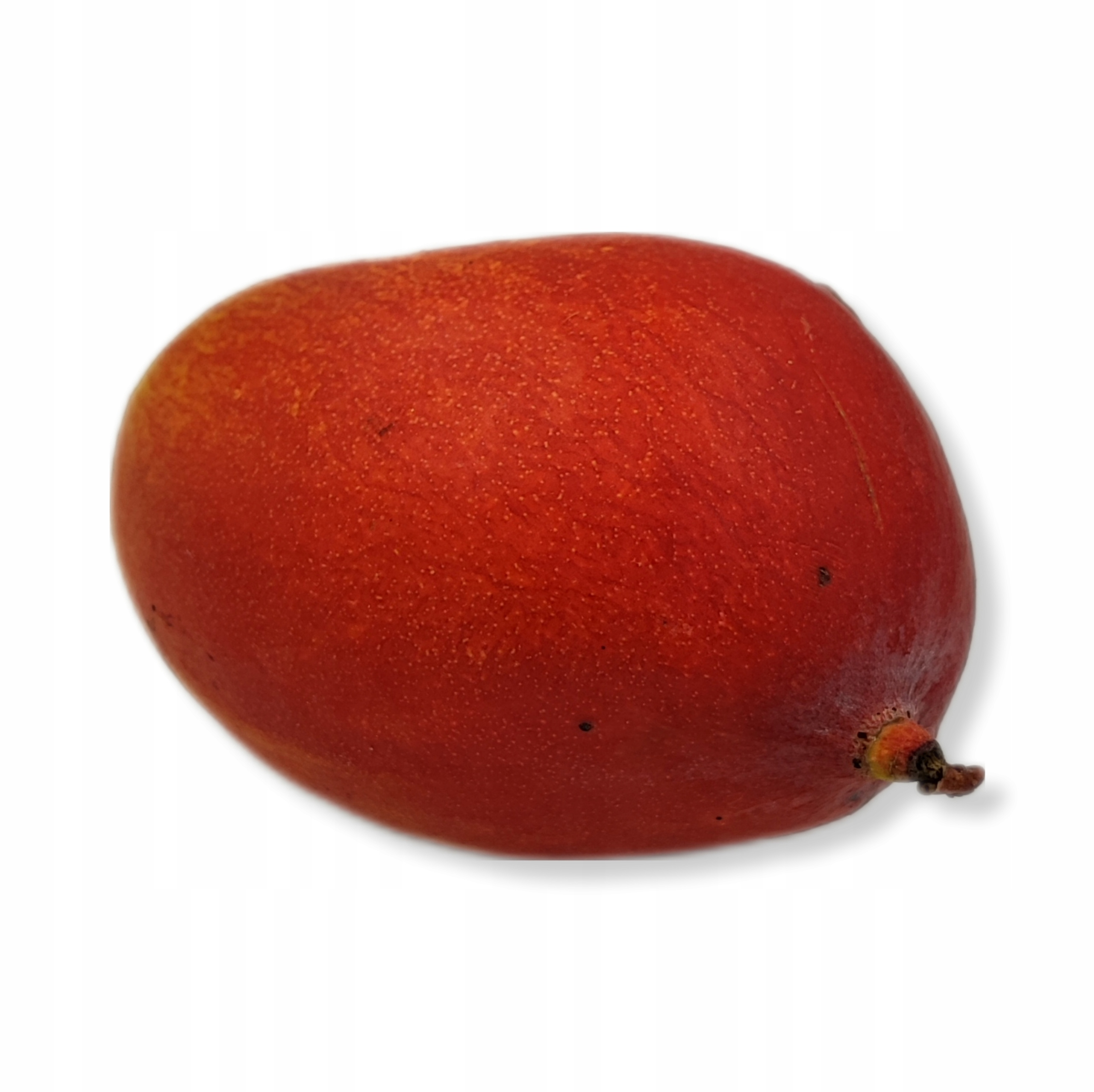 d7edf21969de64ce8be776e1c5e8c443