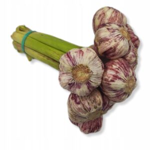 168cd7ec8c35449720ee22fa29fd98f9.jpg 8161e50987b7391cb0db3be1344795bb