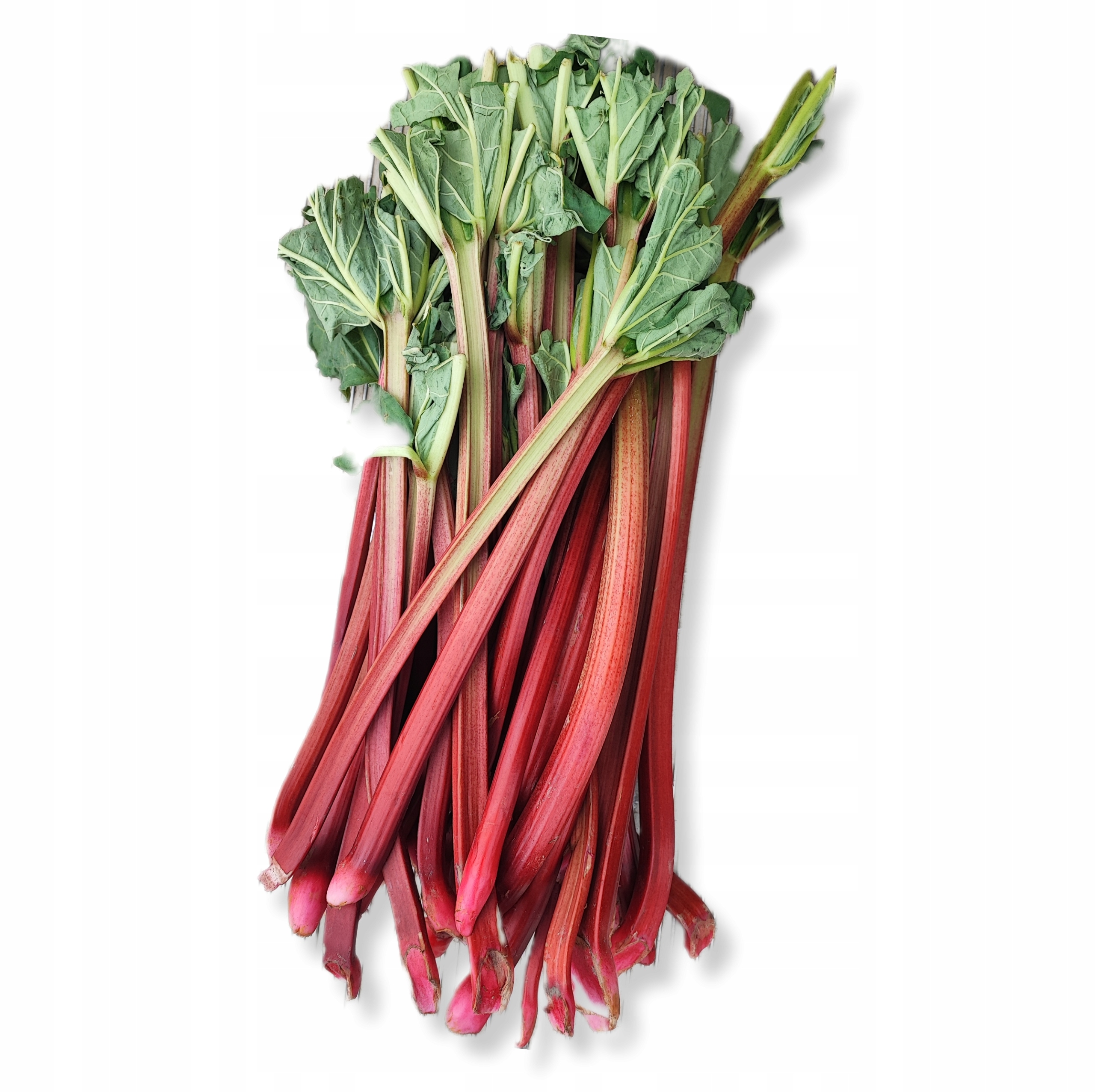 d60402231f75b6a8ca699664158e84cd