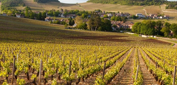 41ac756eeceebc6b44c8915c79d14427