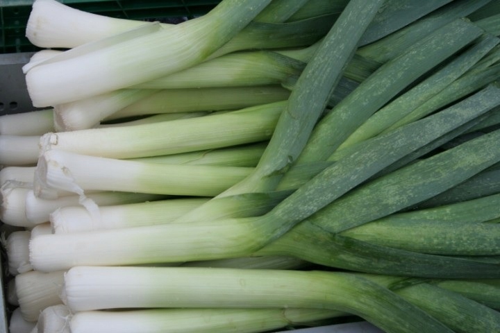 7d6cacbda9ebe933ad8c866e1e732638