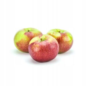 892de1759b4502f551426395d4a01772