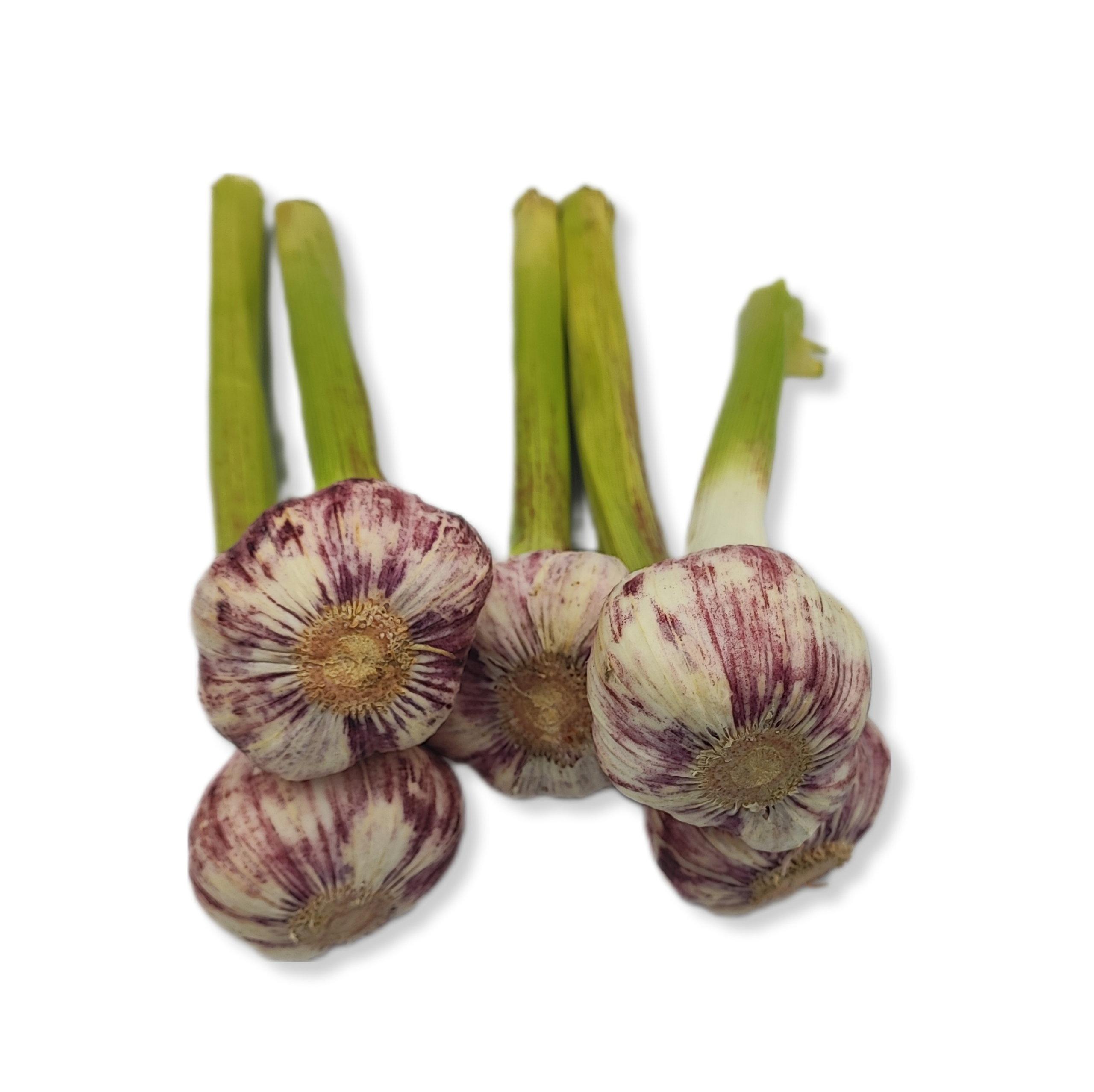 ada8ab3956c6877831ae9fbdf099f705