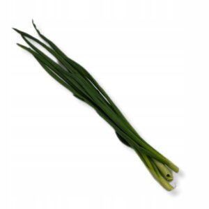 682ebb1170366f582e9c2ce4bdb99064