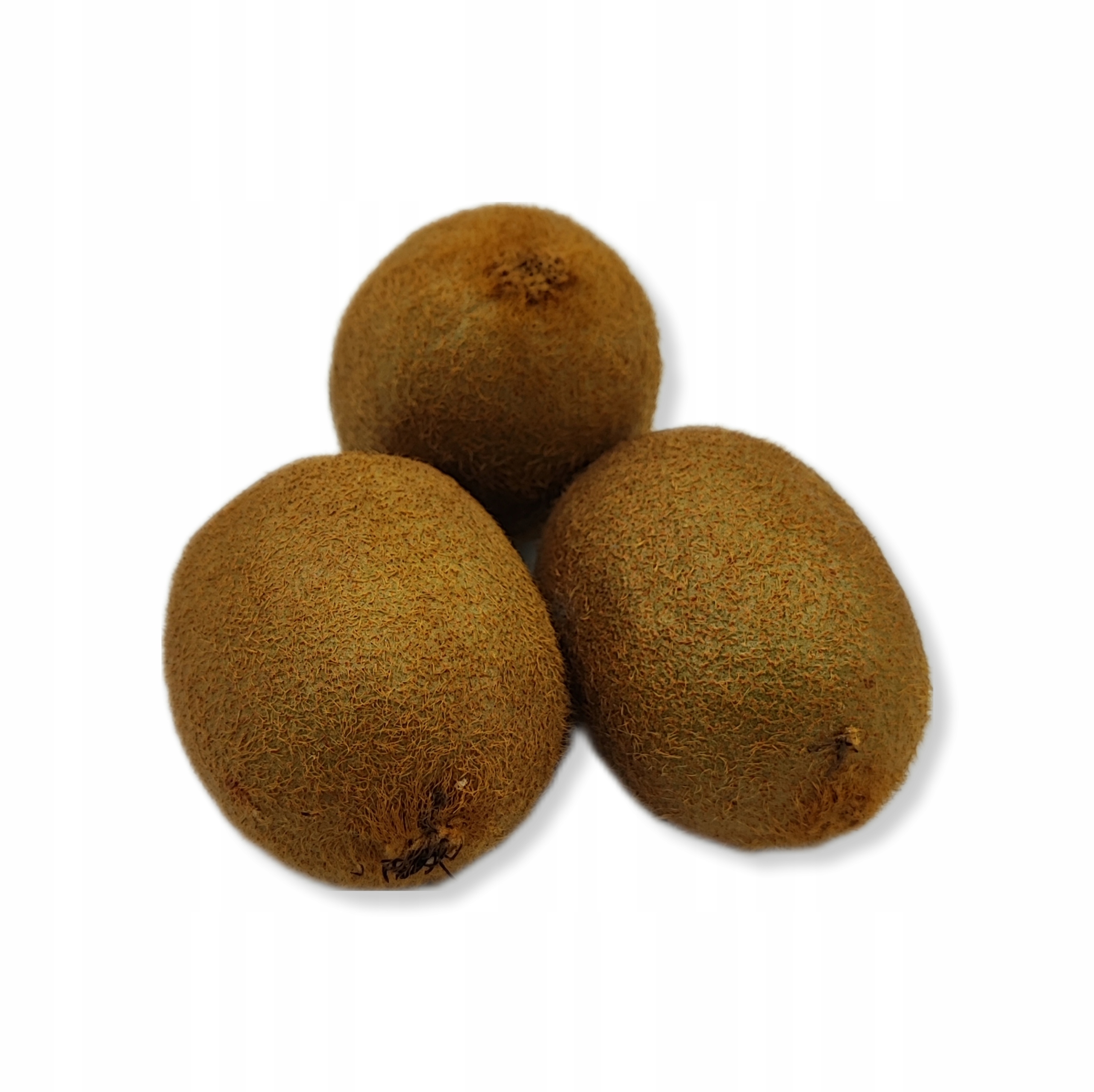 ed9400917f0d5ac38f2c85ffb6027e42