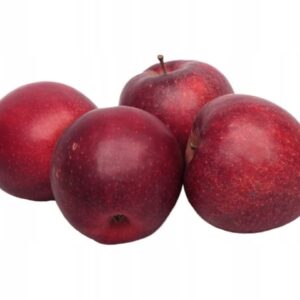 2e9d5d65de49b16cdd3b0ba8761114db