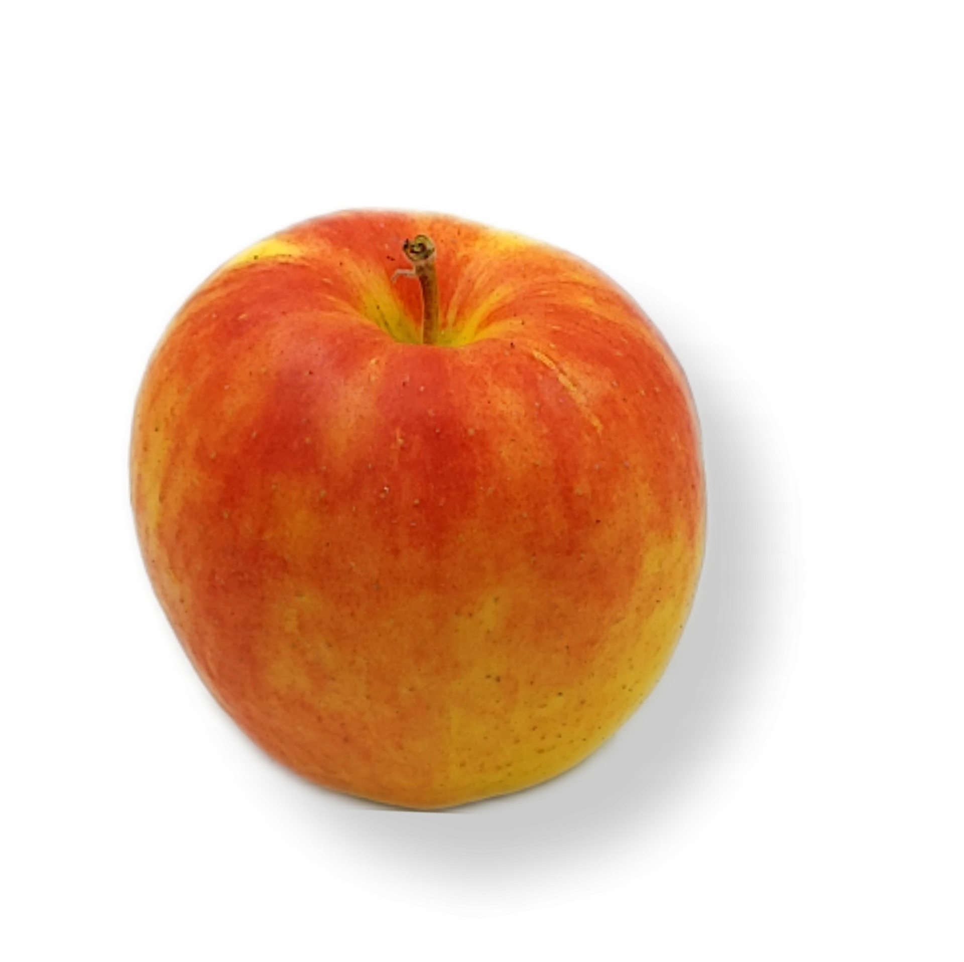 57221237f9be947b824bf69ef6f4243a