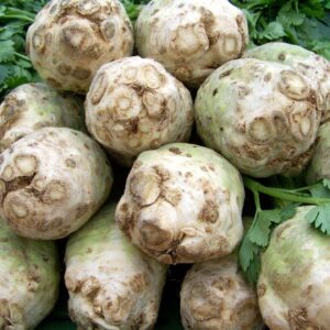 056c1200dbe936c985dfbfc2c0ee9d63