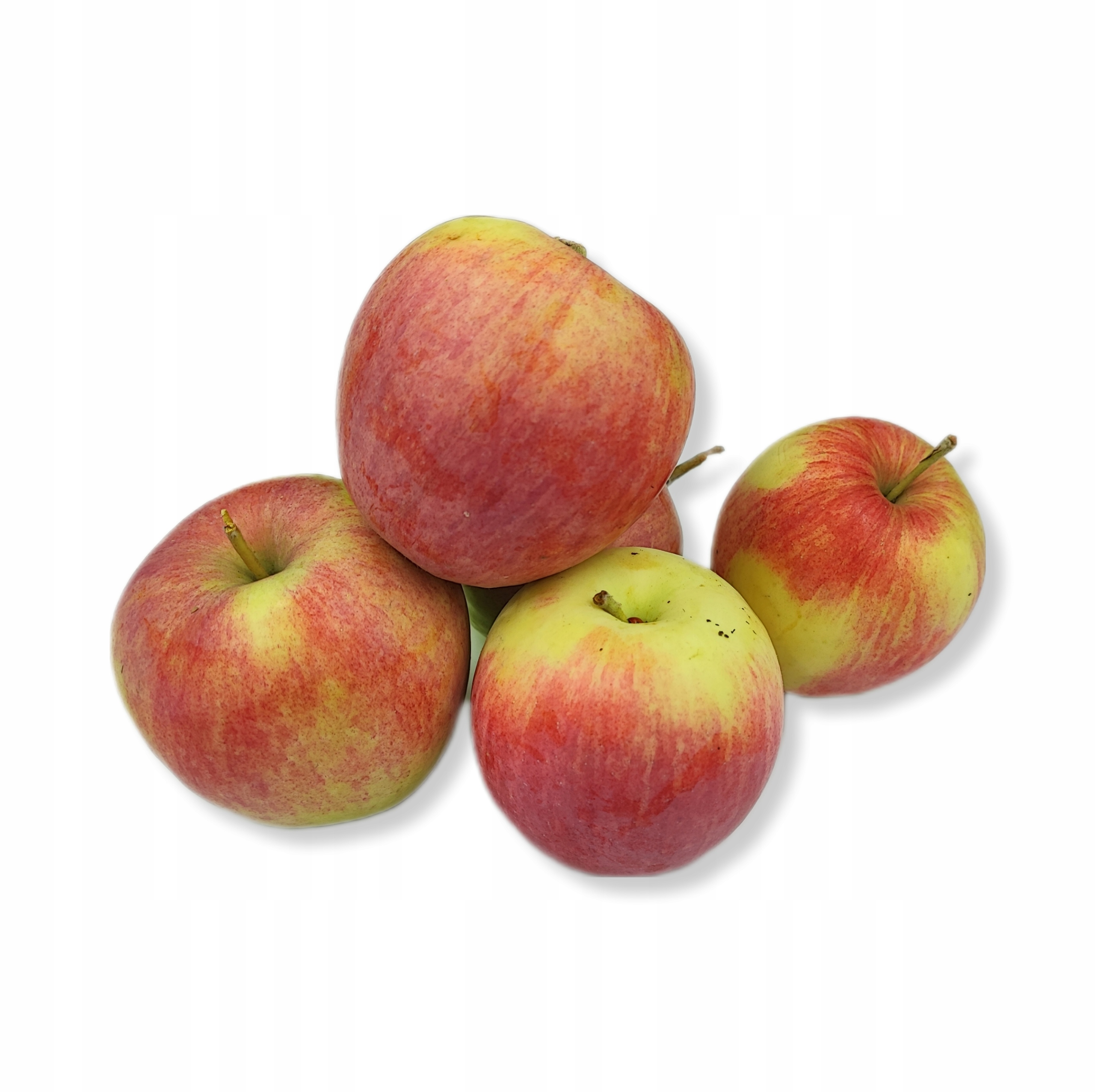 2424825505942f76e2133330291080f0