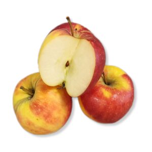 823ab8684eb9286193a0b1639e533e76