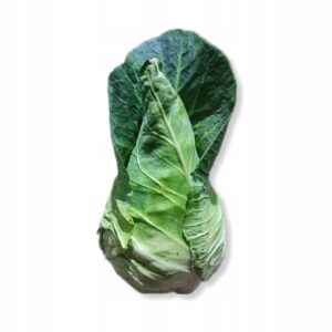 ce2f258a19031b143f0b45e903476aee