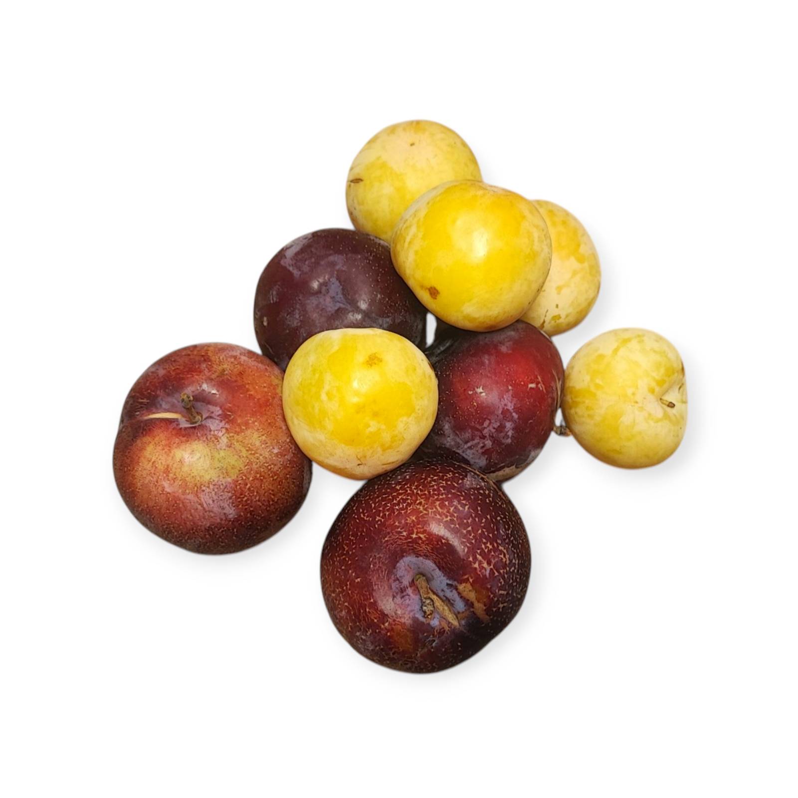 f331bc3557c64f0453145eb9edbbe39a