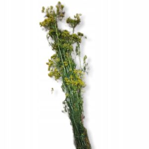 69401cd697a82ae90ebf5bafd3c27a45