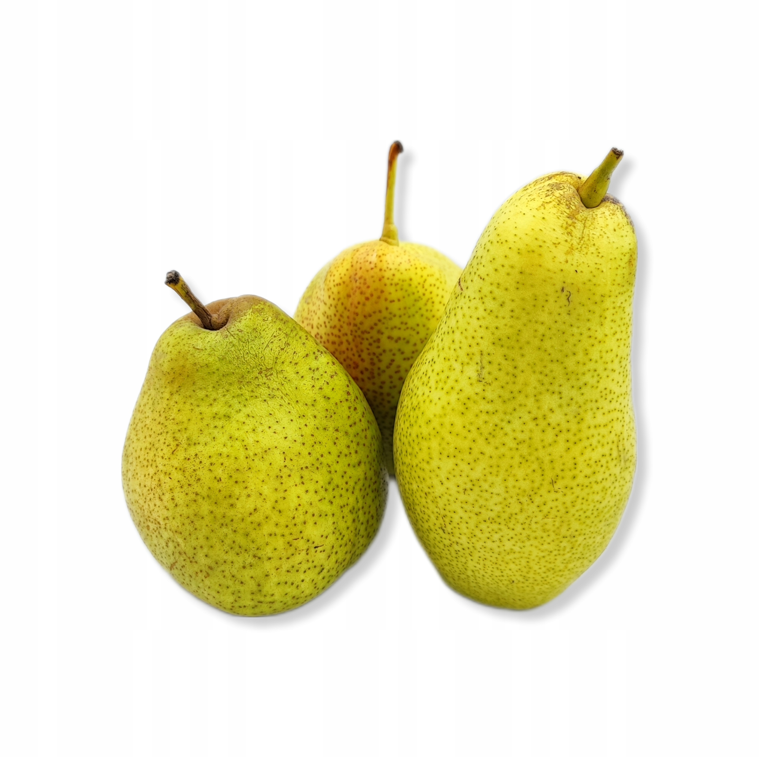 42dbac2b143fa36de0d364be4c332d73