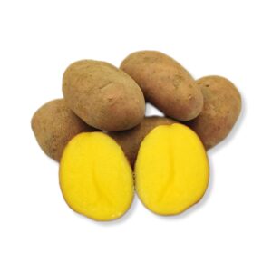 24566efc5f27afd99ef0ade8d7b5714a