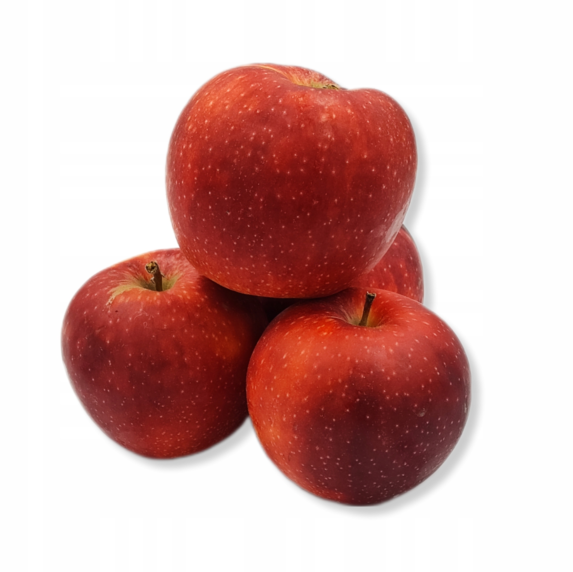 902a289462a8da1cac3aa09f03b7fbe8