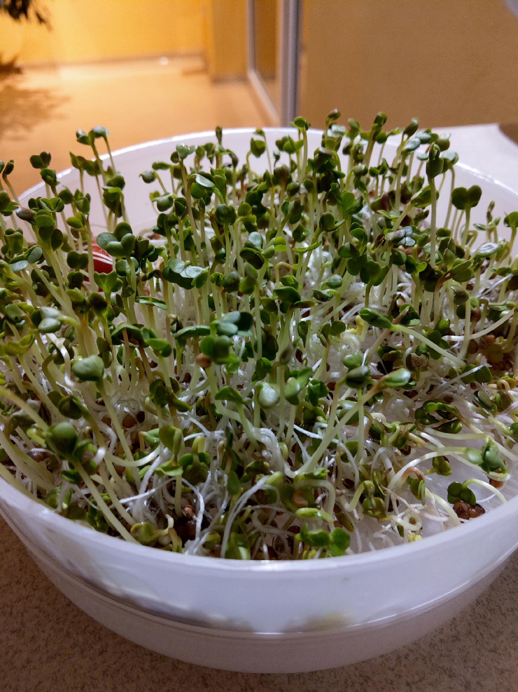 3deb93d5b707f64b1472e53e272a3503