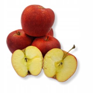 7101eea618e562709a8a216569da41e1