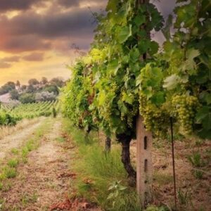 5ff0e2ced7497c20ab05c74fa752afed.jpg 4376cad5dae19eb84a9c783ba791deea