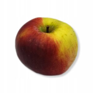 60a4cb97469a9c50182353a63f9da191.jpg f6c2e92d6db9e4e8bb246b50e0c37f00