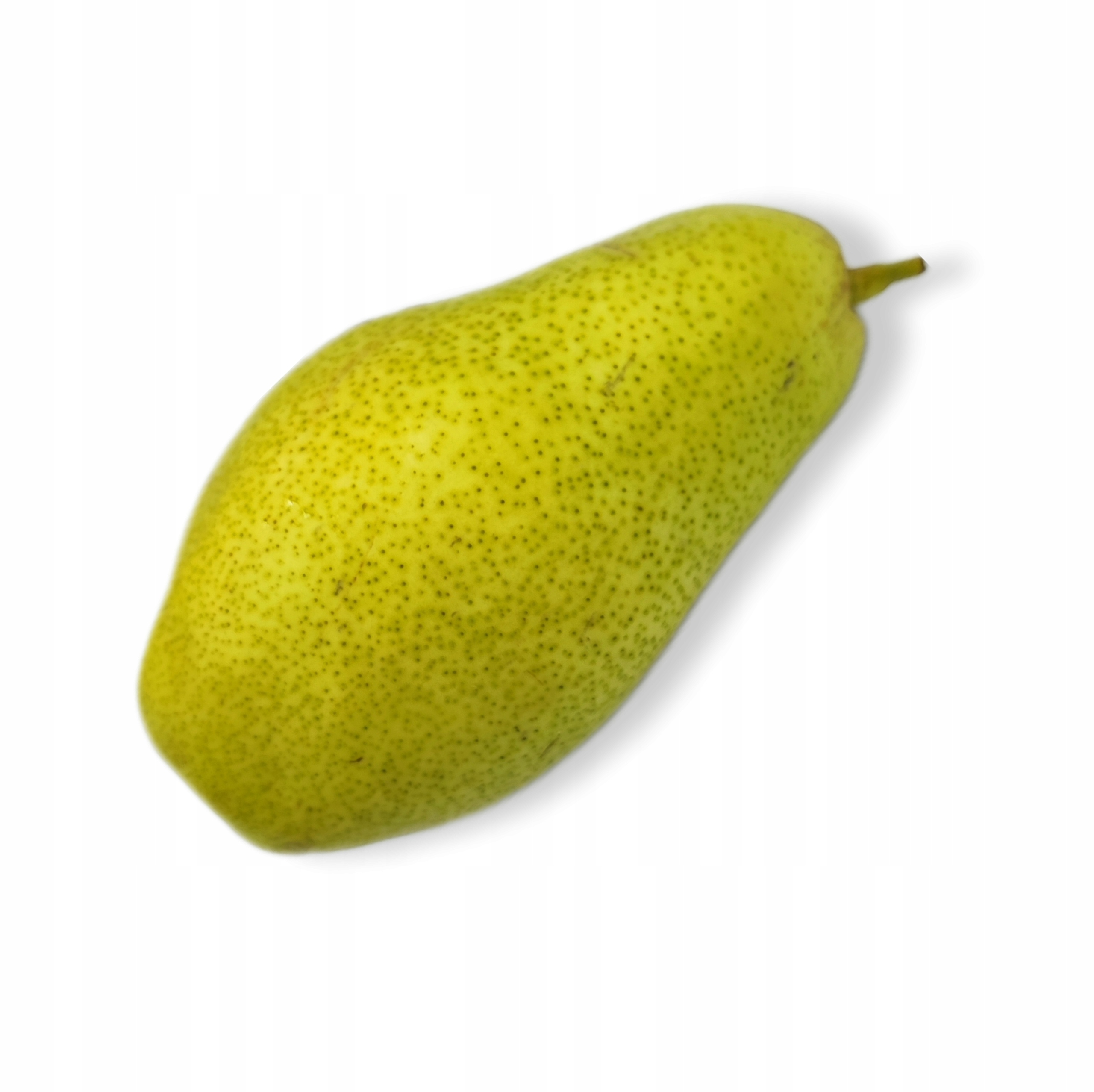 42c070ab76eef53040489f1b0a2e84a4