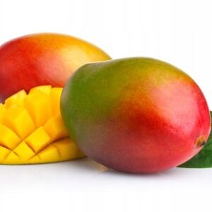 e96bcf1f9ea954dfb1c935a0646c7111