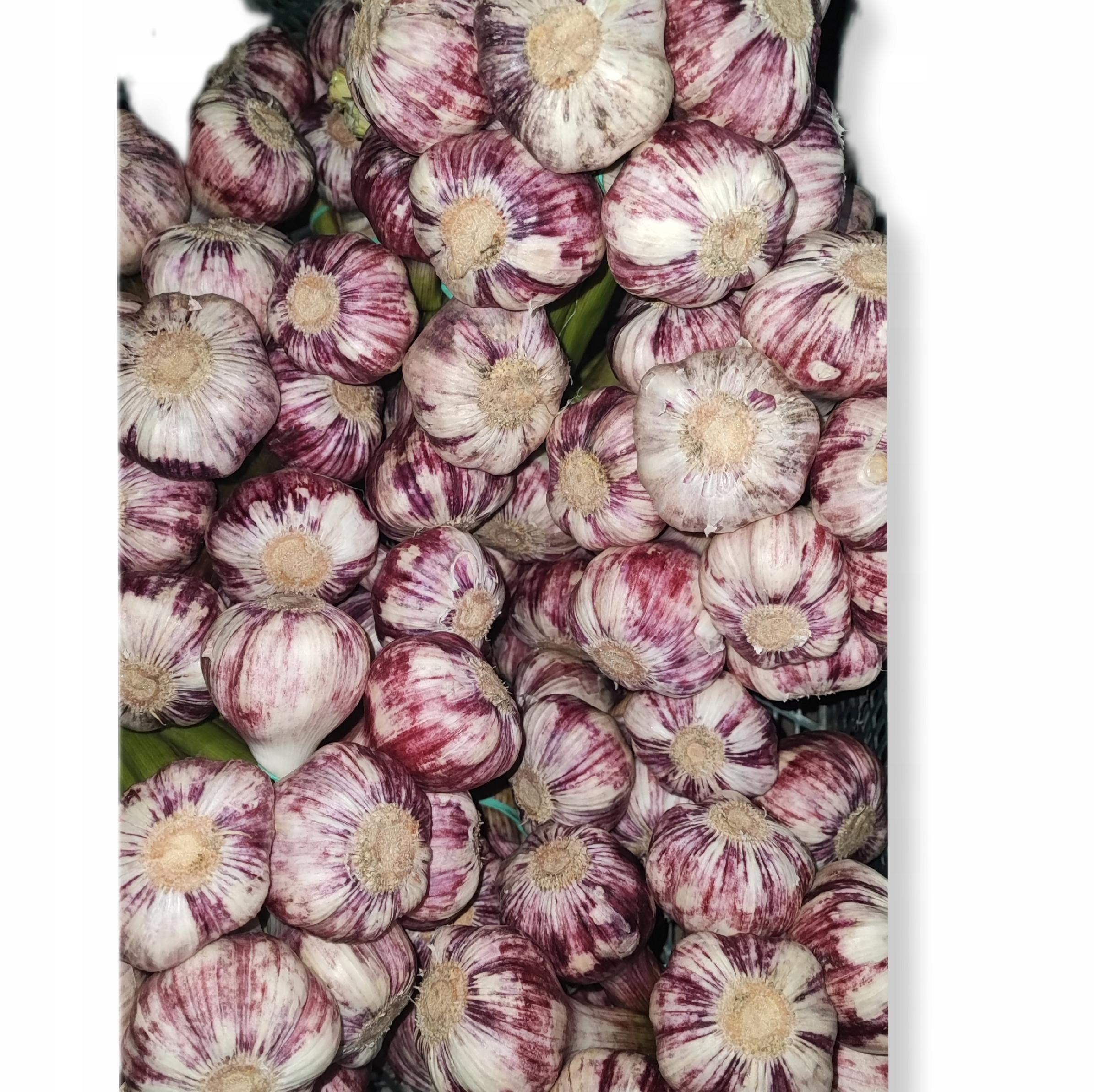 6cc9b45d5735cacc158988a535680467