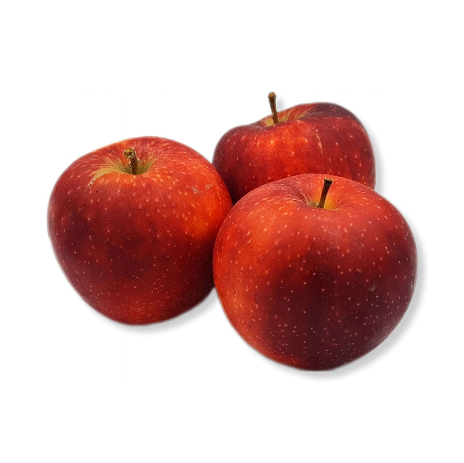 cdba72c5782944744cd4a77678b06d7a