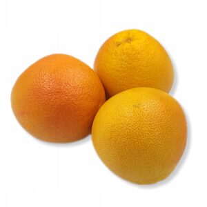 384d1c3ebd44ea8cf4898cab614d2827