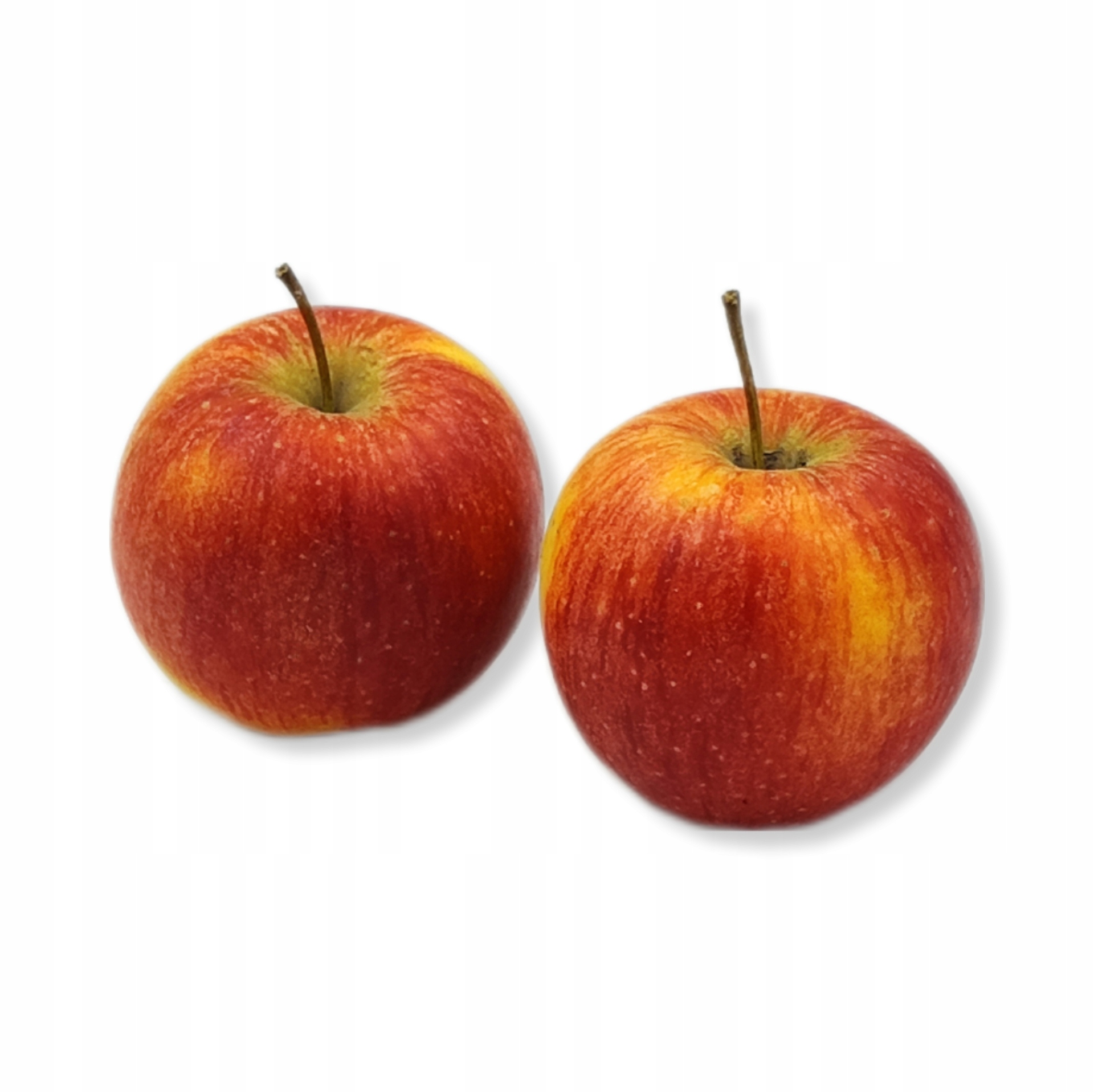 e5c7c83884b188441272af5ac74d0fa6