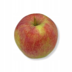 d9bba2a2f00954b2df8eed89004d4438