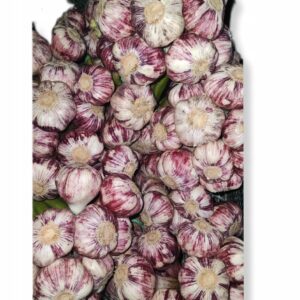 6cc9b45d5735cacc158988a535680467