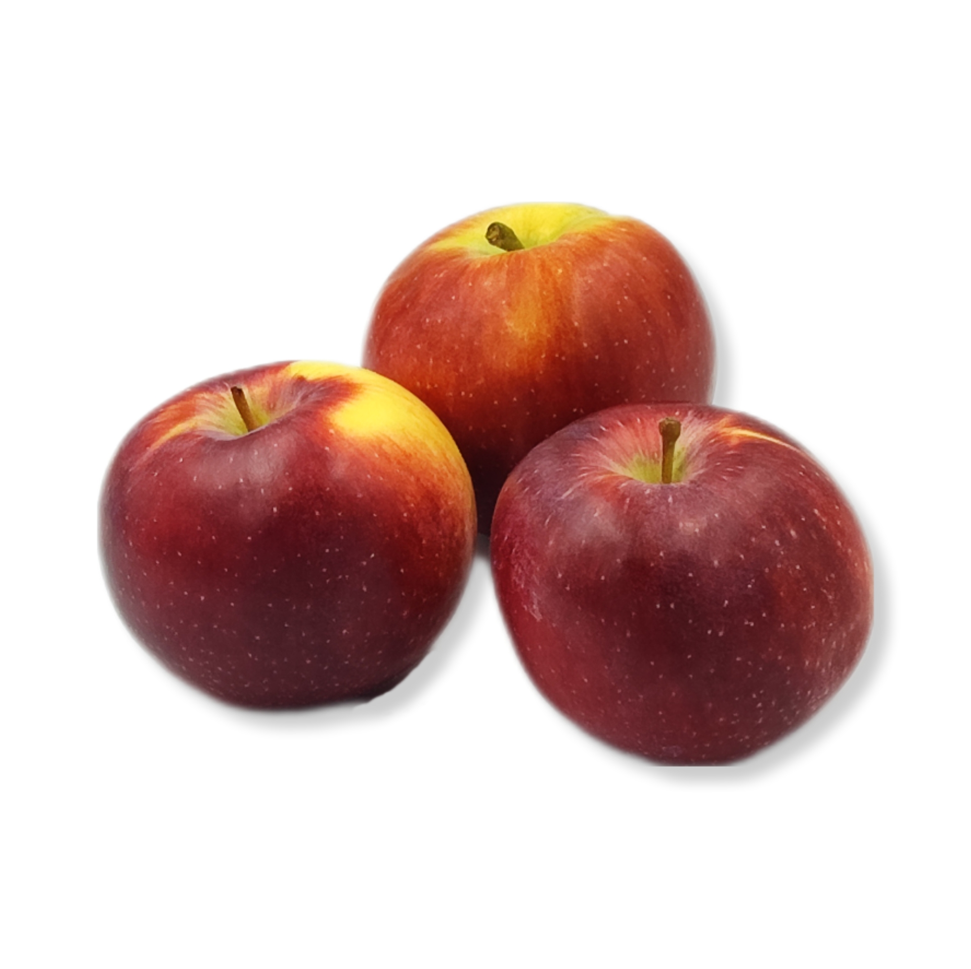 4c5d43433f60d7ae574eb95fcbad7a91