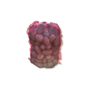 66ae34a1eb3b8b33603aa79e9a7dc4e4