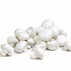 cbc18028d1a7bcadf93f2c1dfd0f0c88