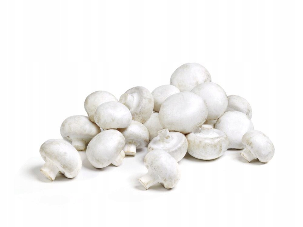 cbc18028d1a7bcadf93f2c1dfd0f0c88