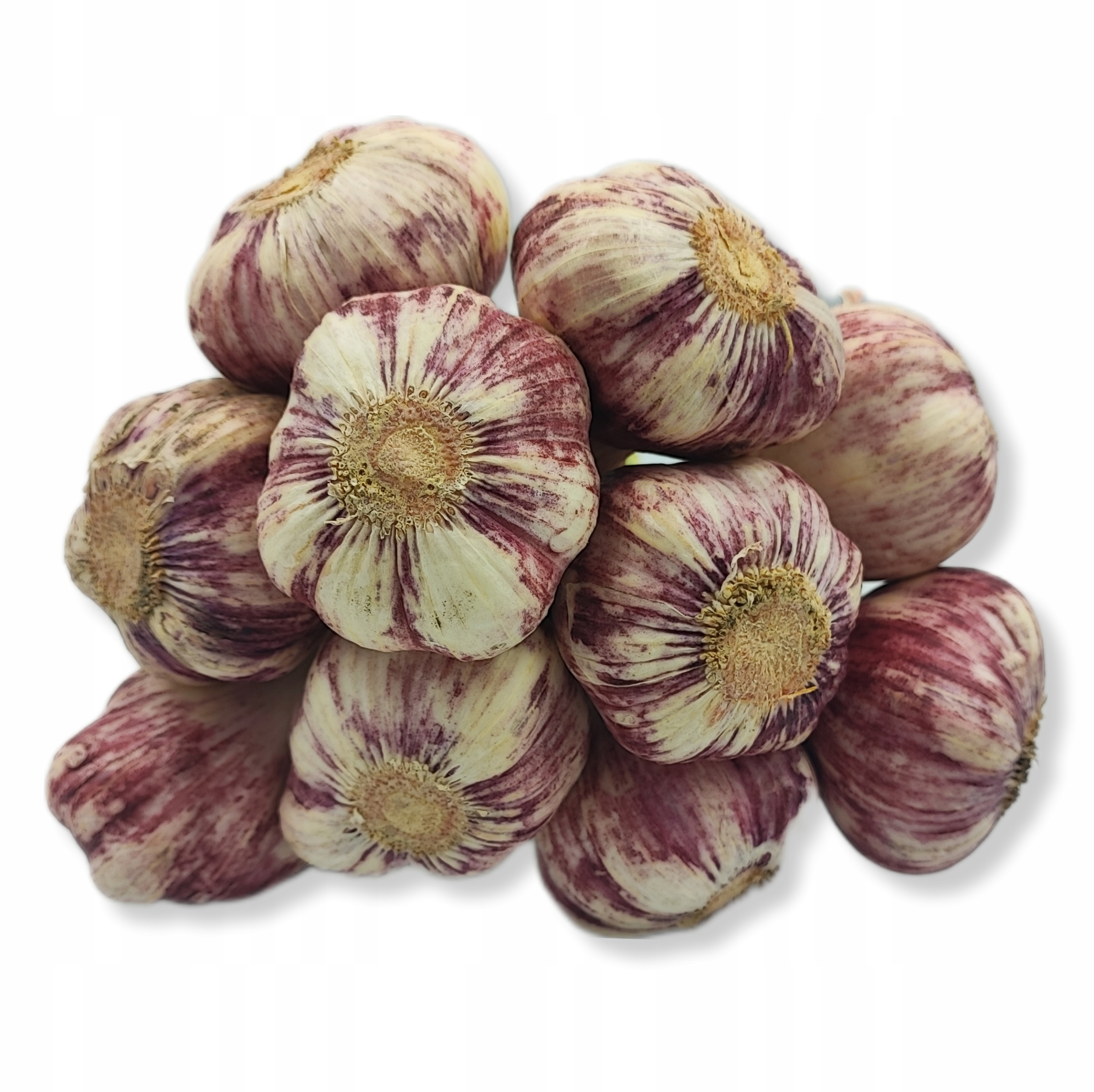 10a4fd01d8bb6da116b580c050c40173