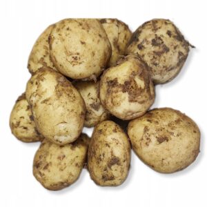 6b200a2bafd3cd1adb873245cdf27565