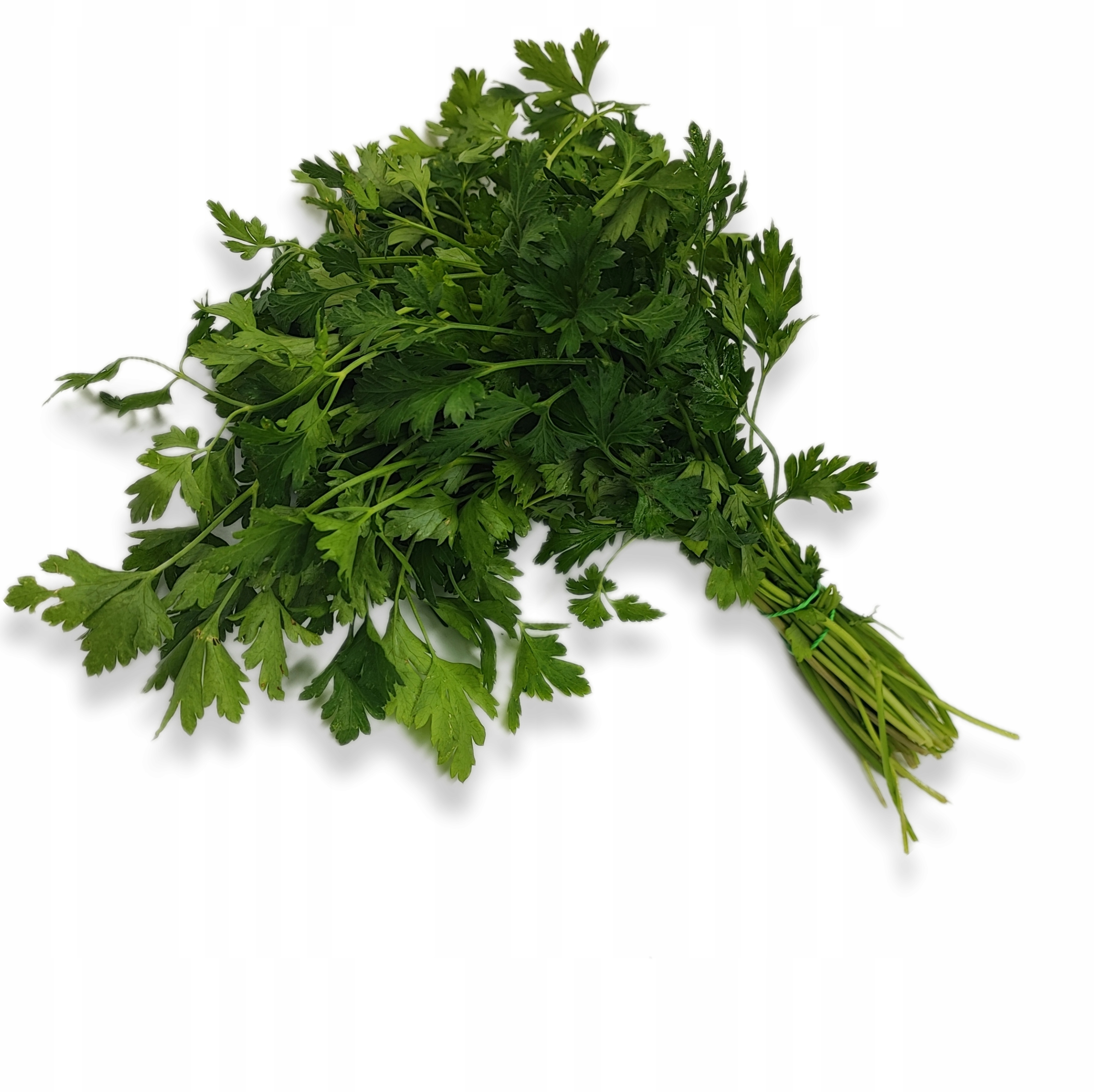 abefe8a6ea4ef3cf187d0be047be139d