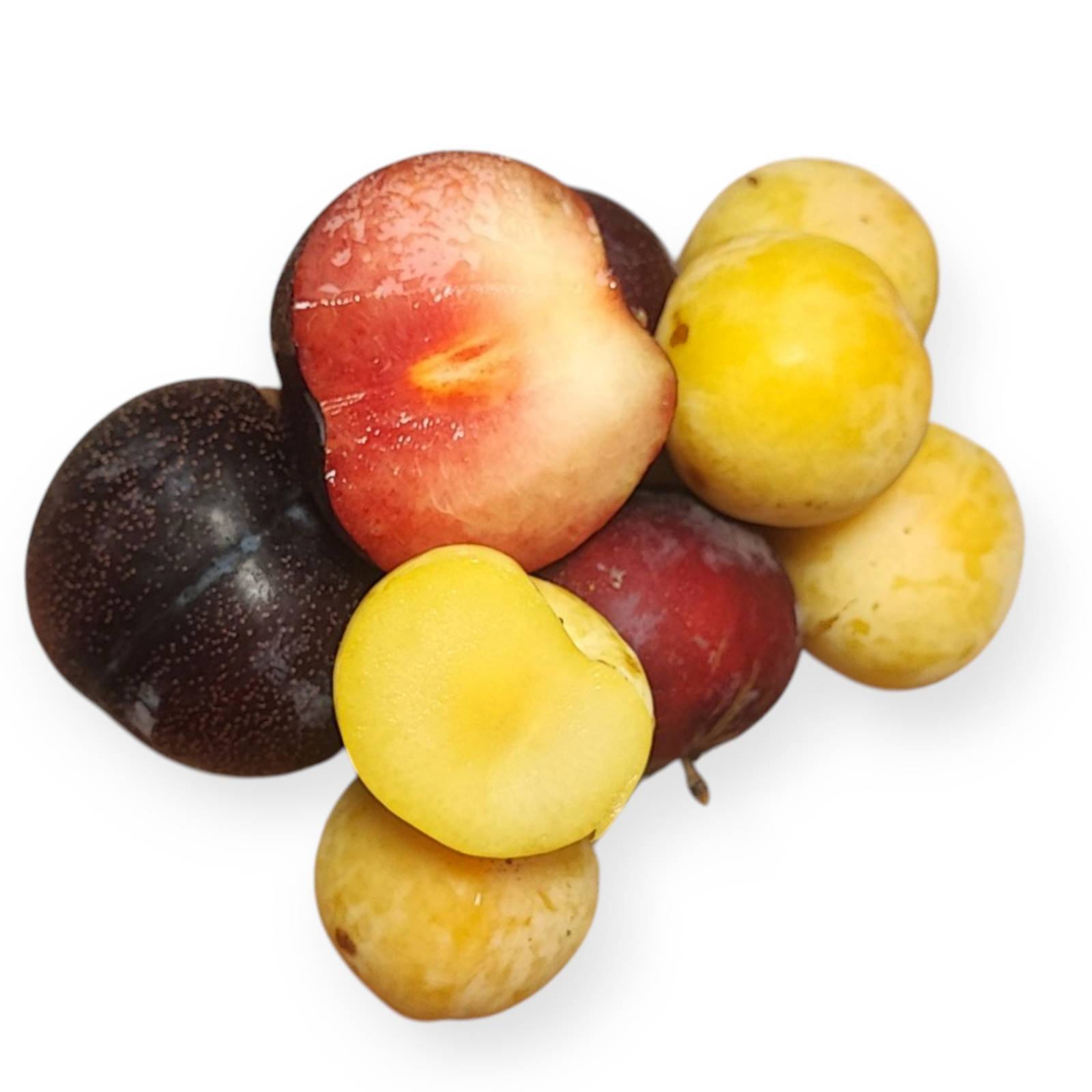 0d1eb6eeea5b962489de538feaeafc4d