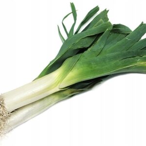 f1e7ee55f8b191b6ef250aafa9efc413