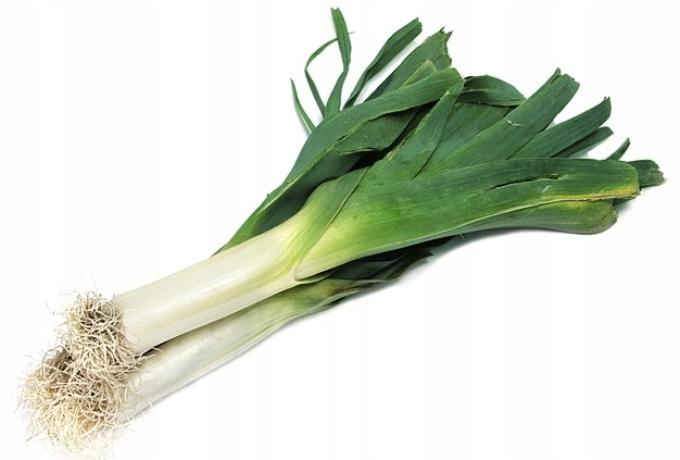 f1e7ee55f8b191b6ef250aafa9efc413