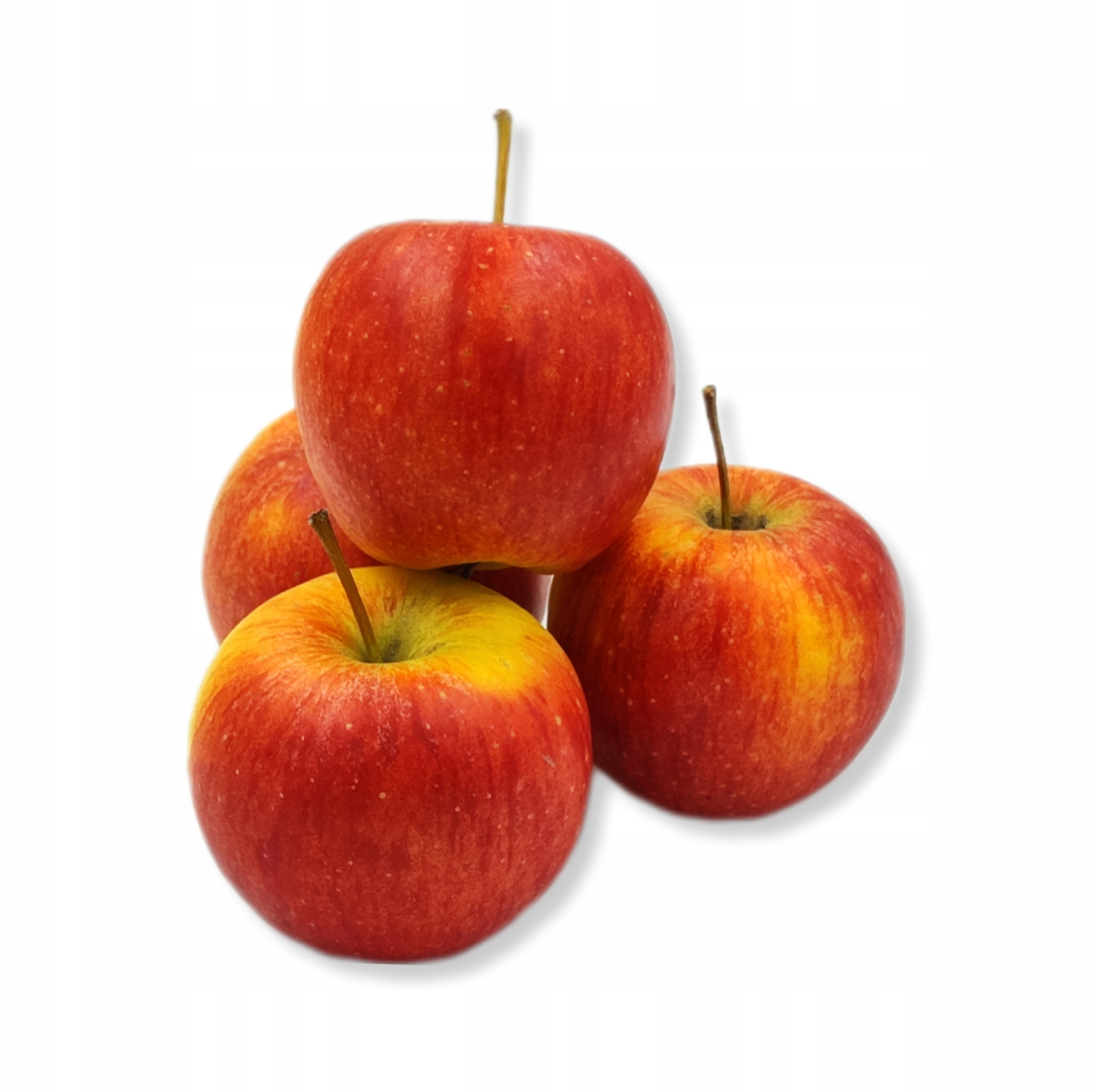 4d8e35a38bcfe576752c589125830ae4