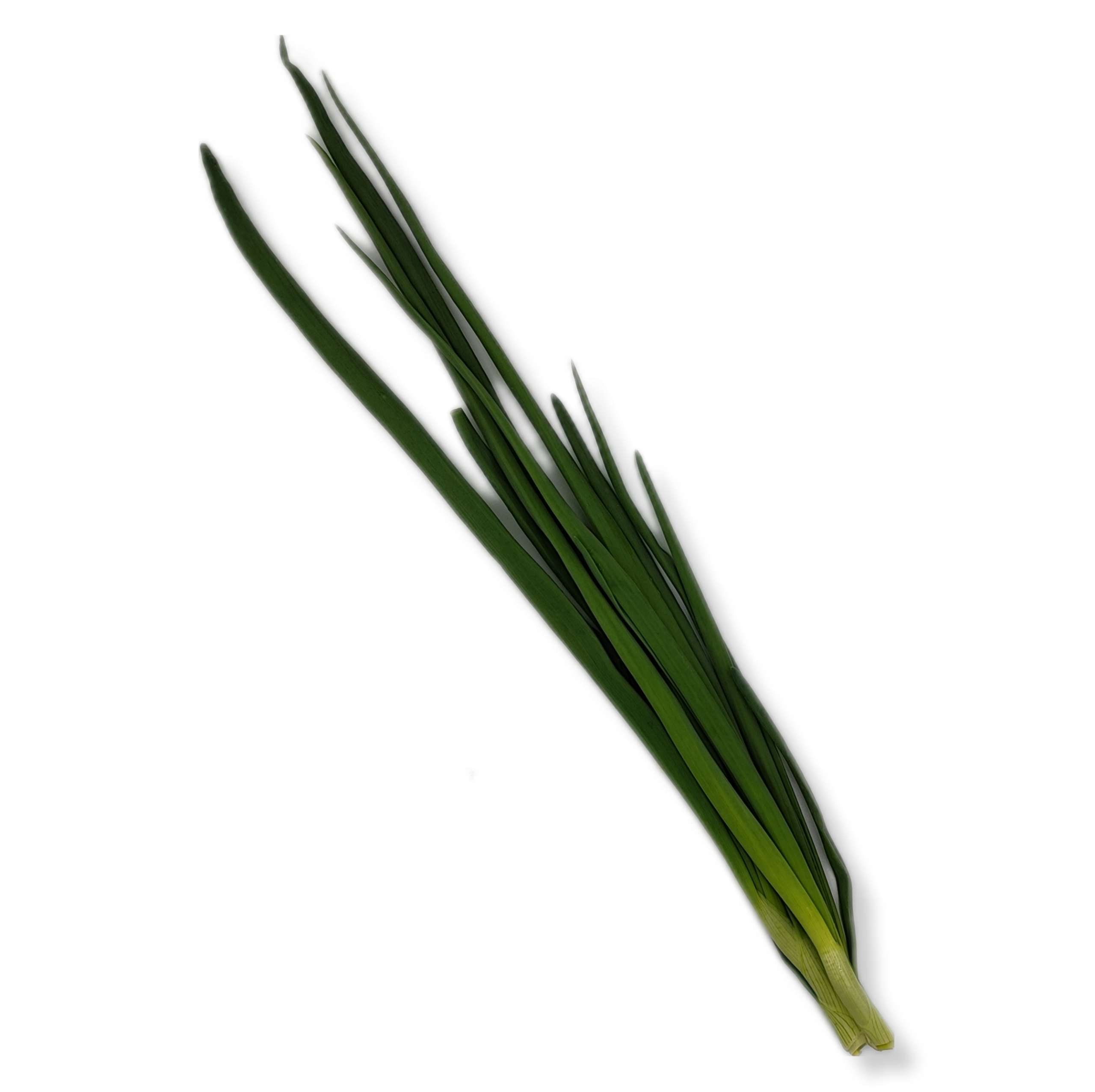 e32157992a96ff481c91160ebfa8b473