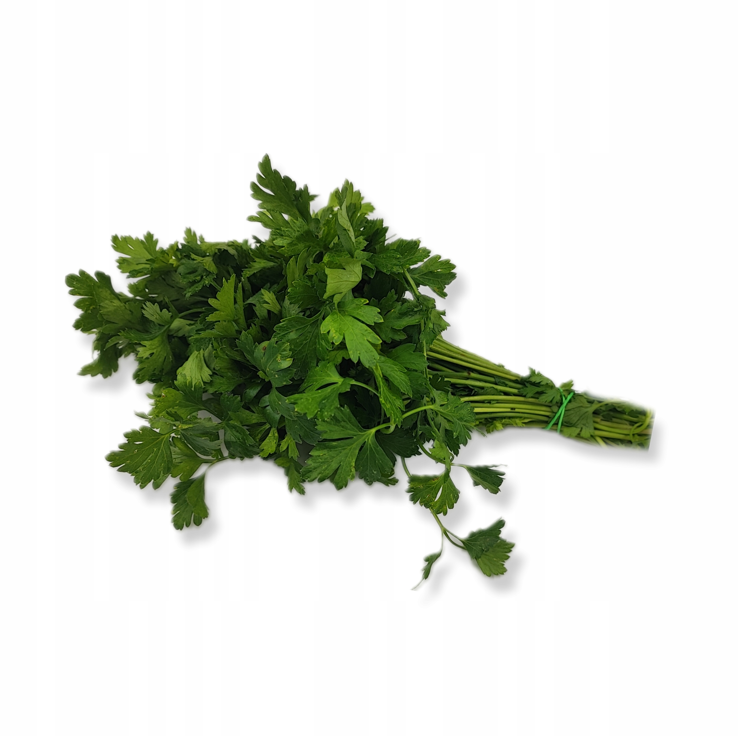 43493c3cacd2fdc58a11bbacdaa6d1ff