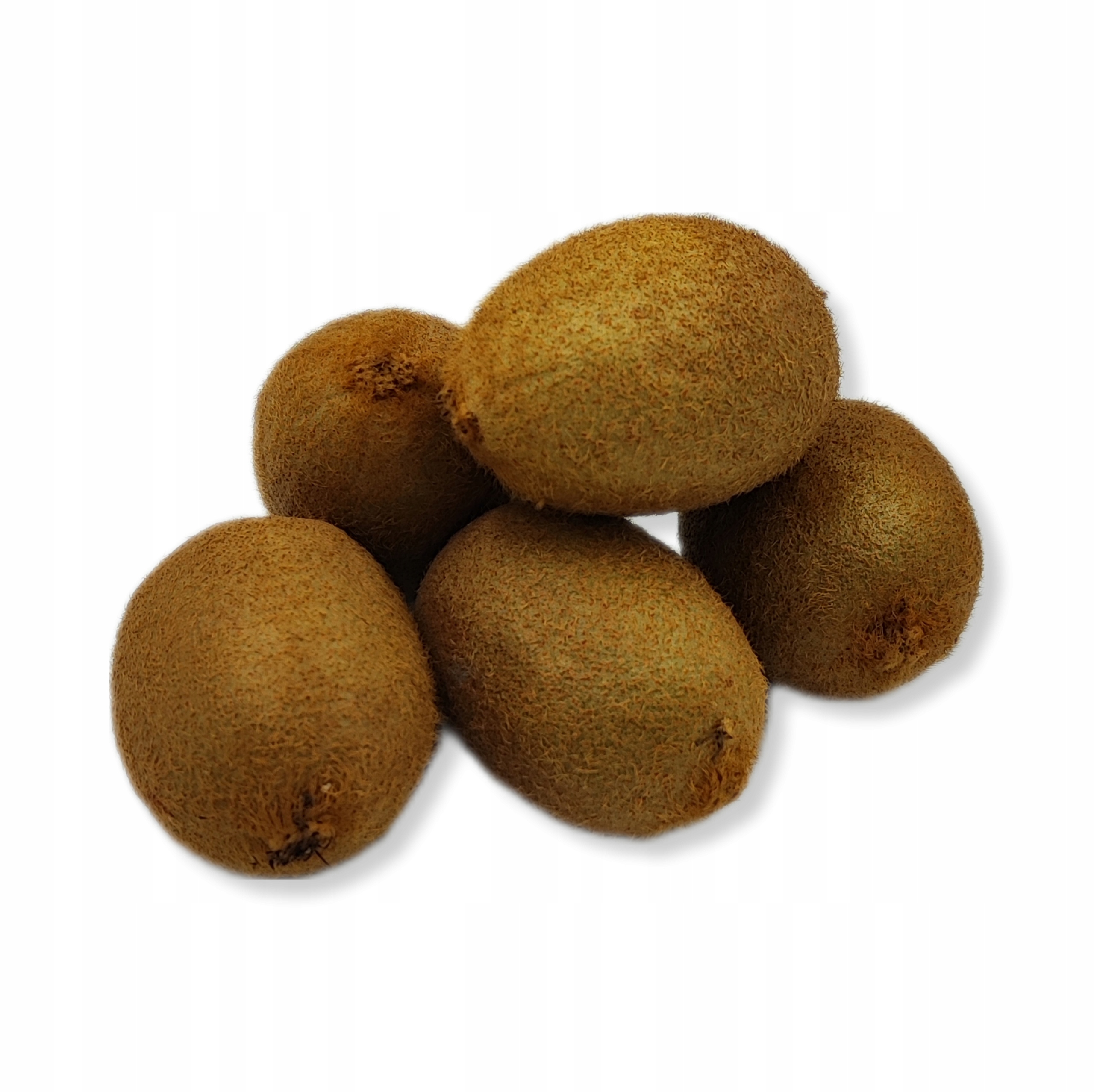 7b40700b54b964cf84aad1197b5e11bb