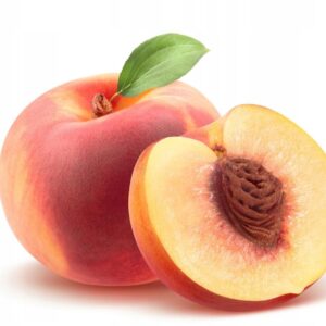 8cdf678771bbd2eb3c5672447c076025